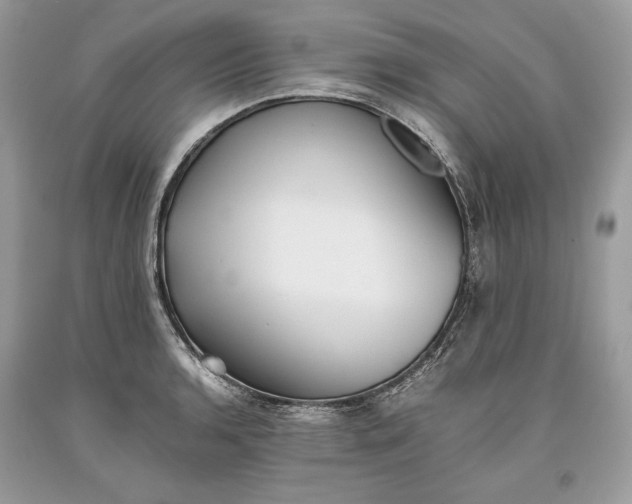 X0000093461136200710261015