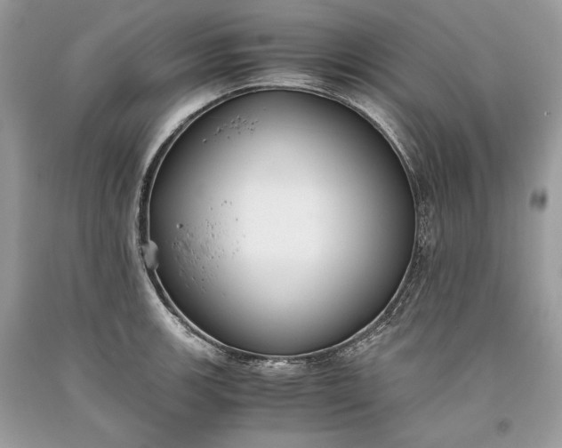 X0000093461139200710261015