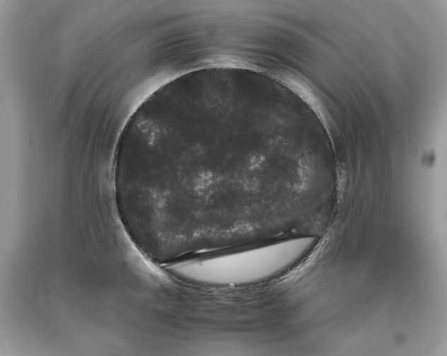 X0000093461141200710261015