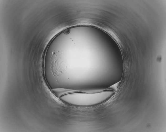 X0000093461142200710261015