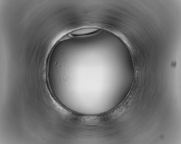 X0000093461143200710261015