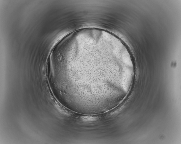 X0000093461145200710261015