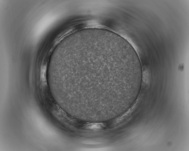 X0000093461150200710261015