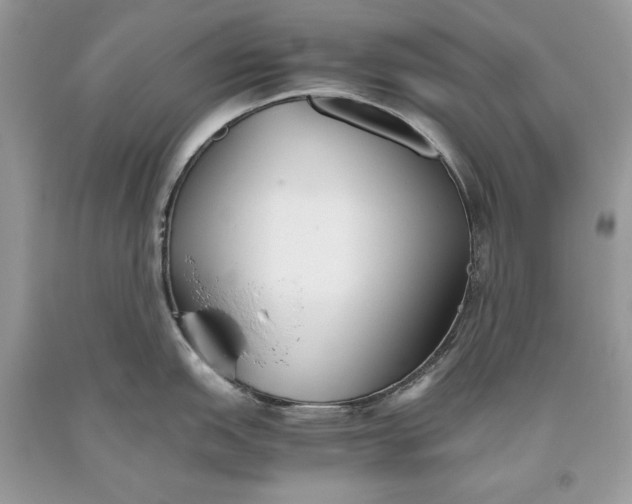 X0000093461151200710261015