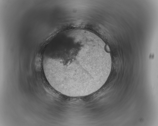 X0000093461154200710261014