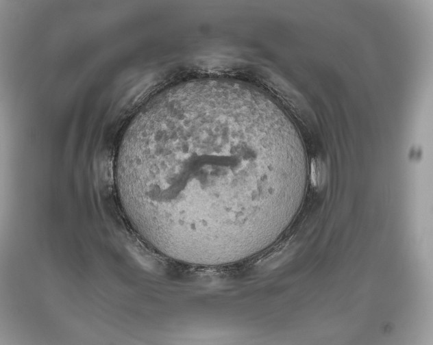 X0000093461155200710261014