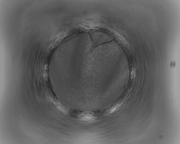 X0000093461156200710261014