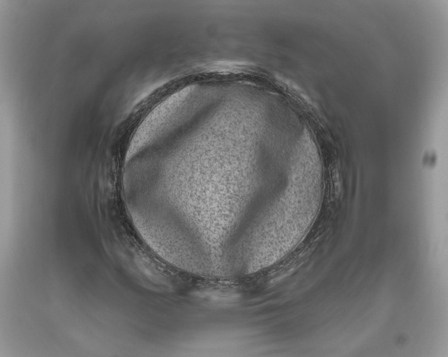 X0000093461158200710261014