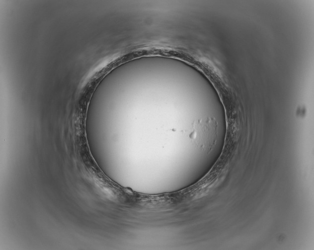 X0000093461159200710261014