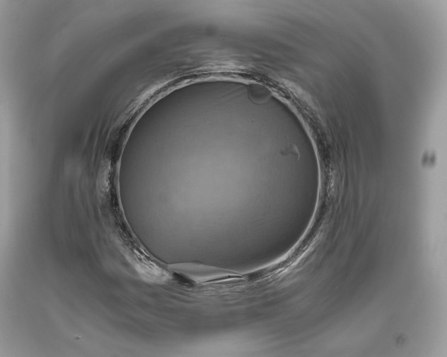 X0000093461161200710261014