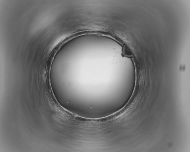 X0000093461163200710261014