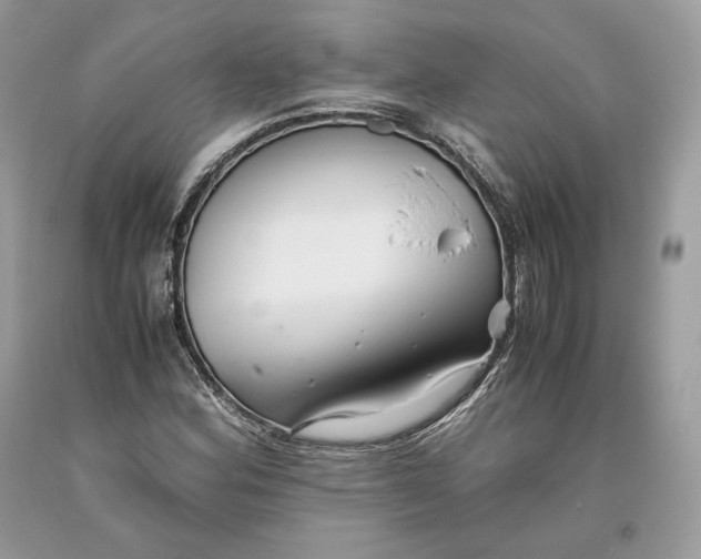 X0000093461164200710261014