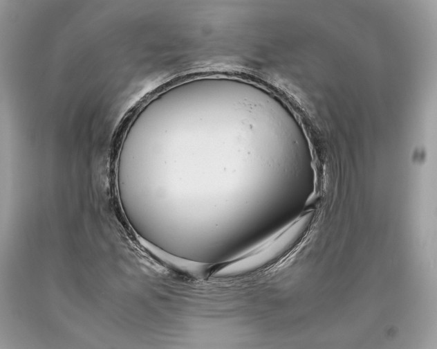 X0000093461165200710261014