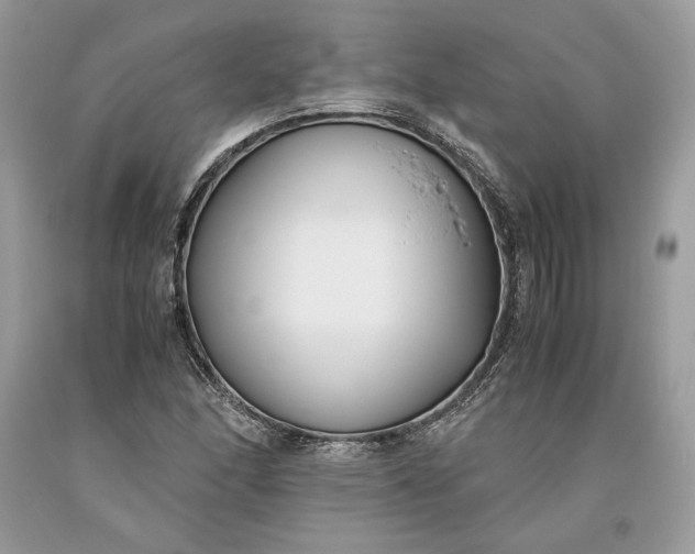 X0000093461166200710261014