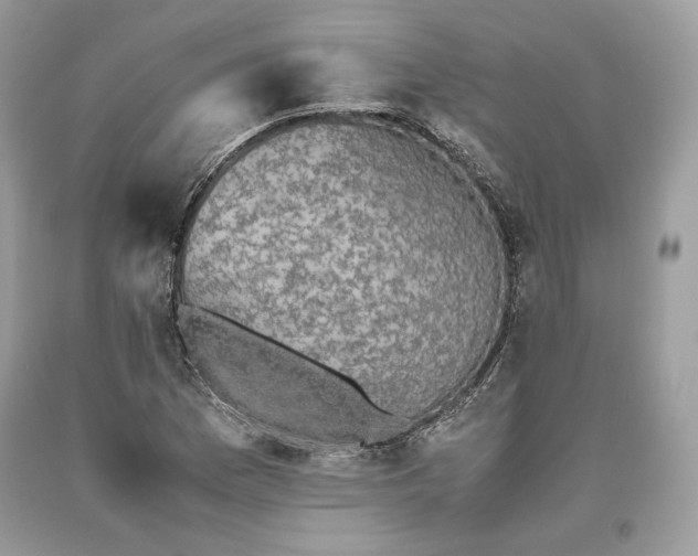 X0000093461169200710261014