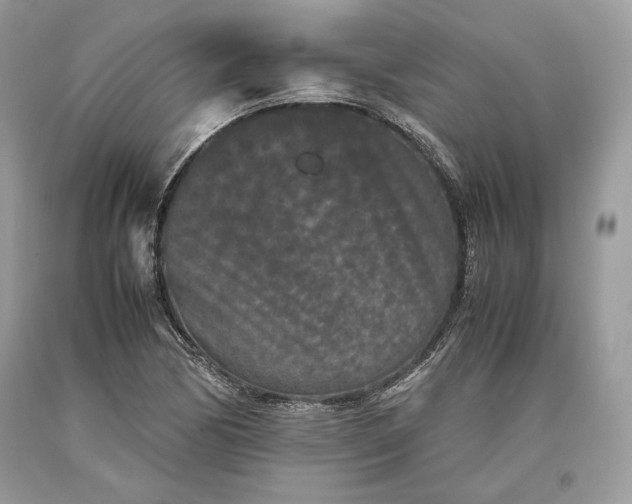 X0000093461170200710261014