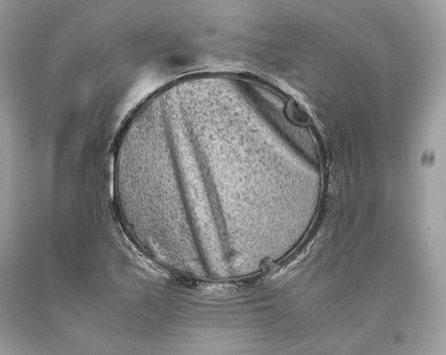 X0000093461171200710261014