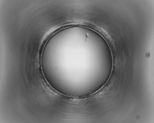 X0000093461172200710261014