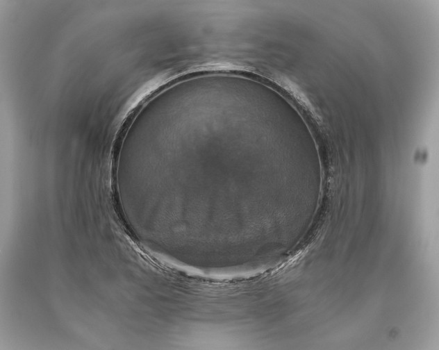 X0000093461173200710261014