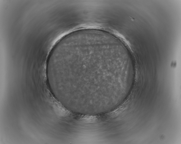 X0000093461174200710261014