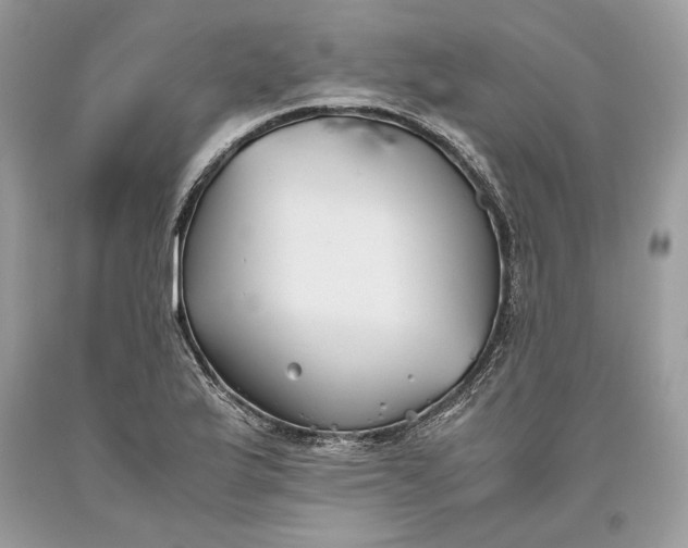 X0000093461175200710261014