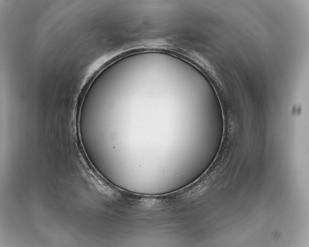 X0000093461176200710261014