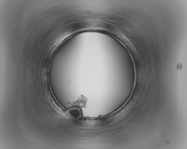 X0000093461177200710261014