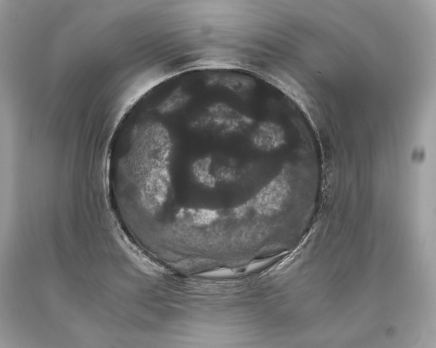 X0000093461179200710261014