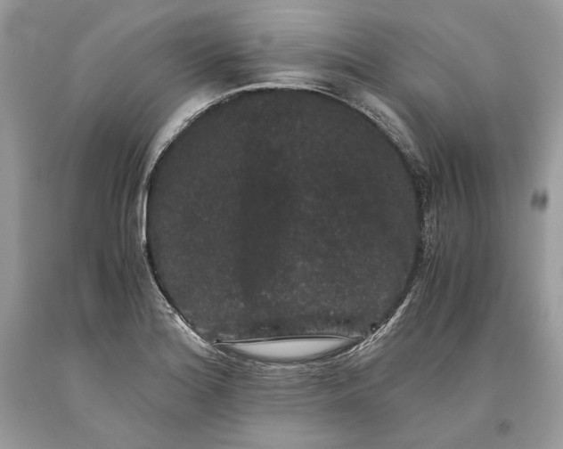 X0000093461180200710261014