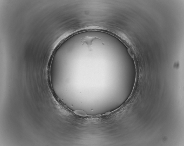 X0000093461181200710261014