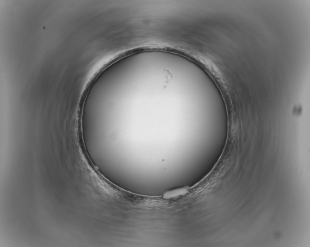 X0000093461183200710261014