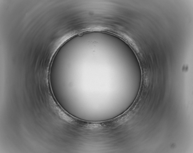 X0000093461186200710261014