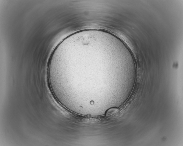 X0000093461187200710261014