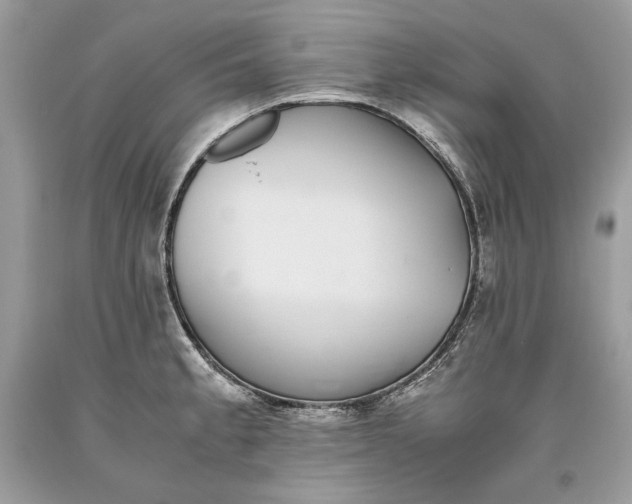 X0000093461189200710261014