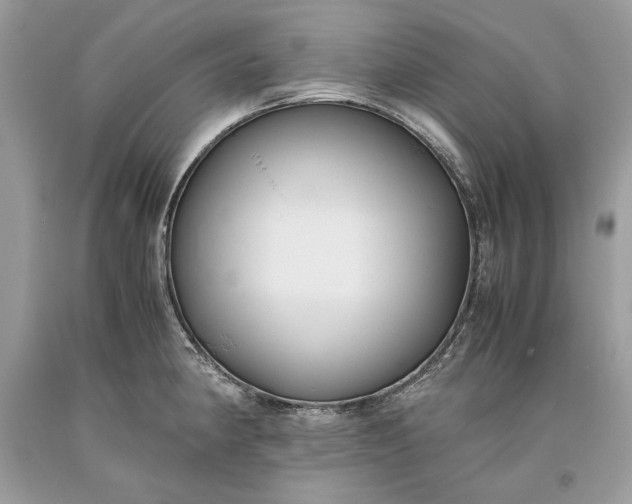 X0000093461190200710261014