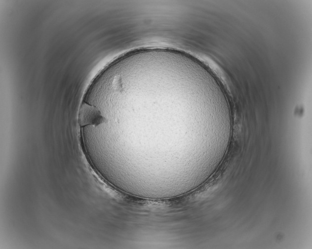 X0000093461191200710261014