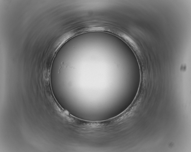 X0000093461193200710261014