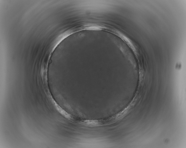 X0000093461194200710261014