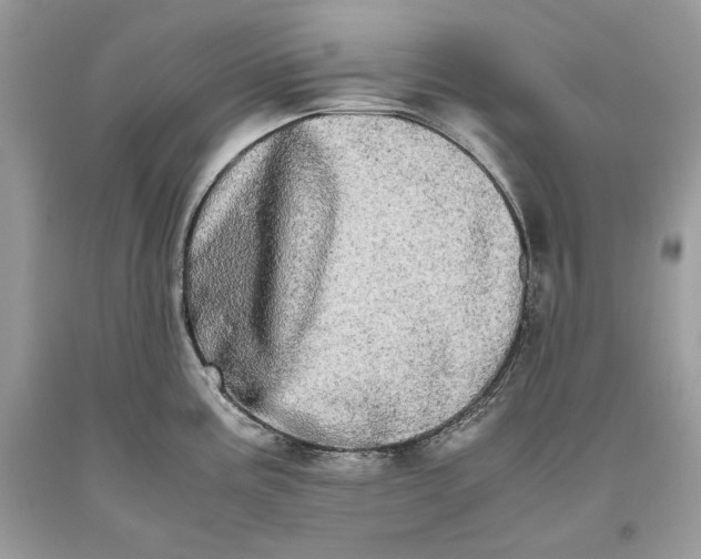 X0000093461195200710261014