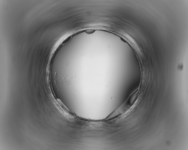 X0000093461196200710261014