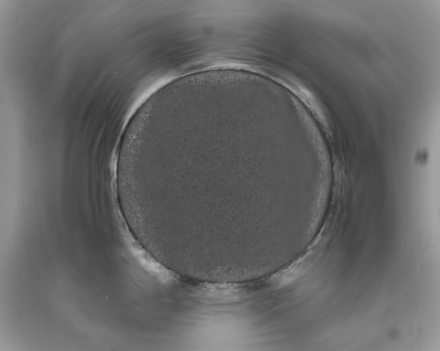 X0000093461198200710261014