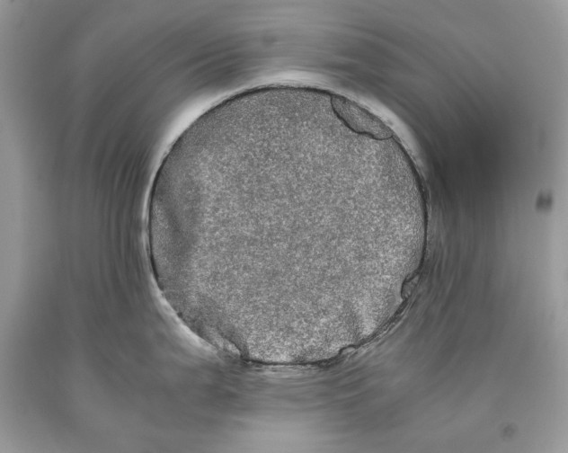 X0000093461199200710261014