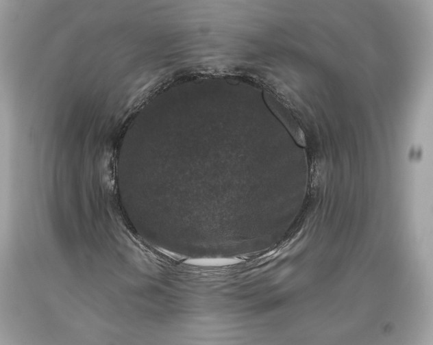 X0000093461202200710261013