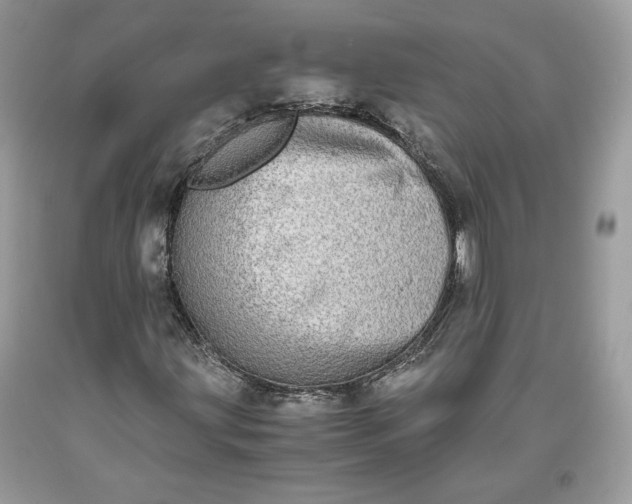 X0000093461203200710261013