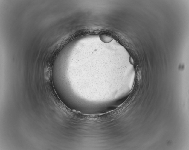 X0000093461204200710261013