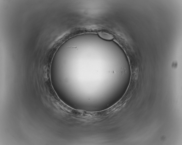 X0000093461205200710261013