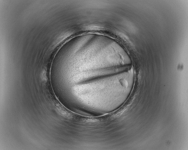 X0000093461209200710261013