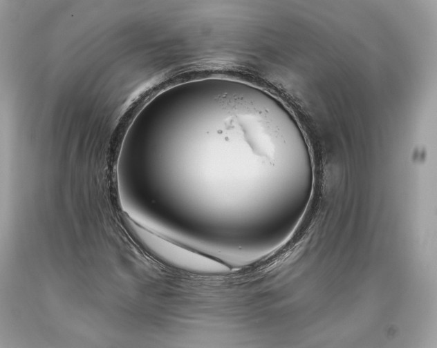 X0000093461210200710261013