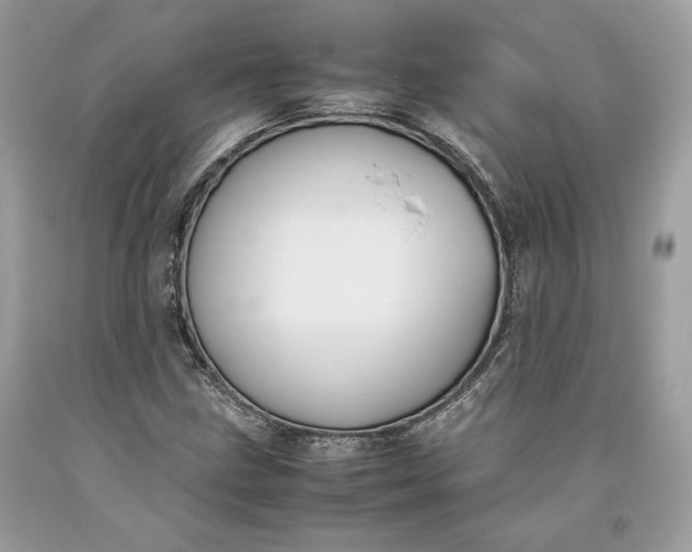 X0000093461211200710261013