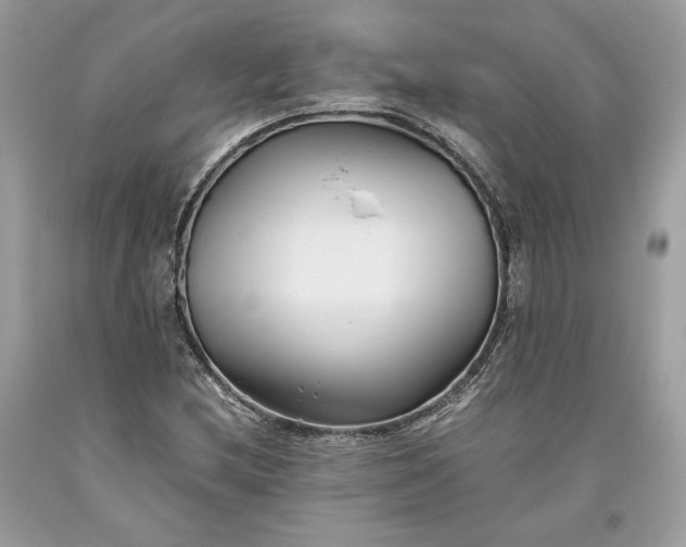 X0000093461212200710261013